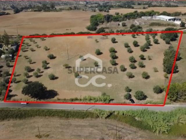 Terreno venda em Torres Novas, Santarém
