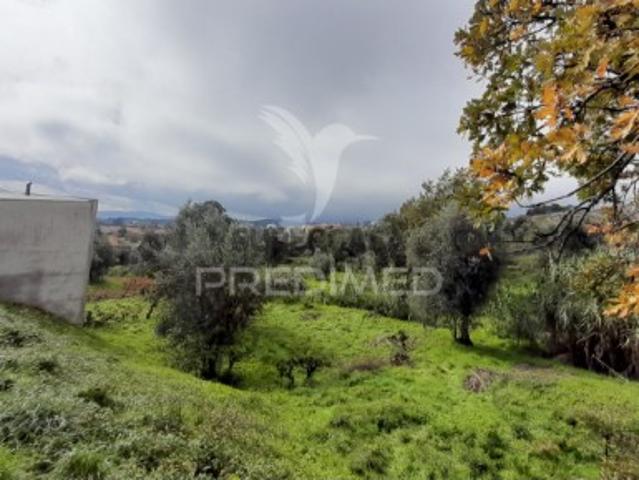 Terreno venda em Covilhã Terreno venda em Covilhã