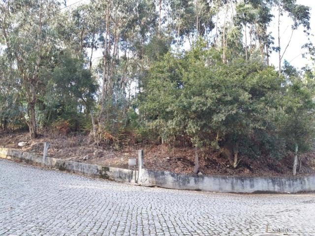 Terreno venda em Vila Do Conde, Porto