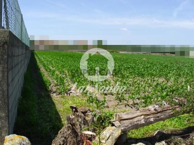 Terreno venda em Vila Do Conde, Porto