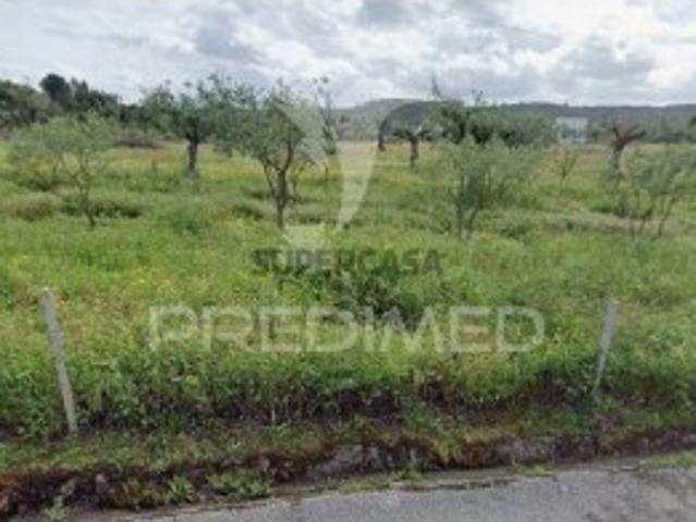 Terreno venda em Crucifixo, Abrantes
