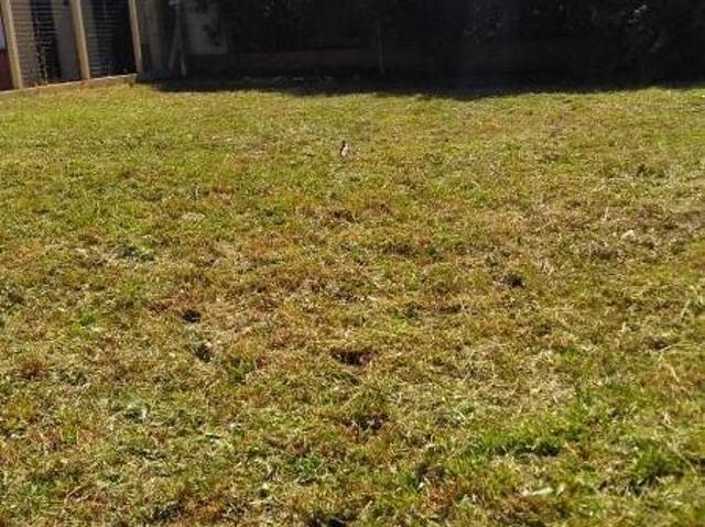 Terreno venda em Região Geográfica Imediata de Tramandaí - Osório, Aglomeração Urbana do Litoral Norte
