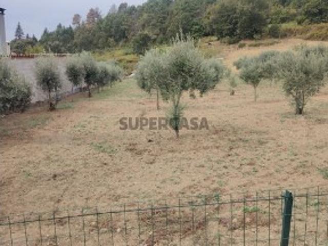Terreno venda em Trancoso (São Pedro e Santa Maria) e Souto Maior, Trancoso