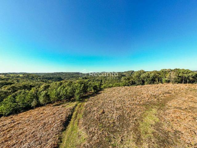 Terreno venda em Região Geográfica Imediata de Taquara - Parobé - Igrejinha, Três Coroas