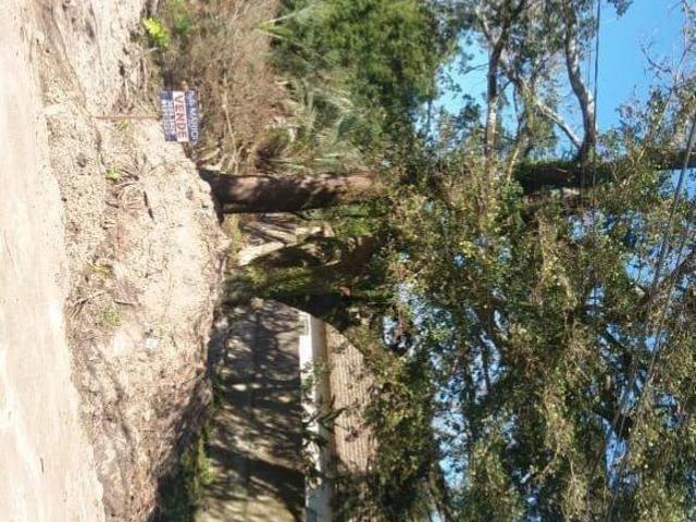 Terreno venda em Região Geográfica Imediata de Pelotas, Aglomeração Urbana do Sul