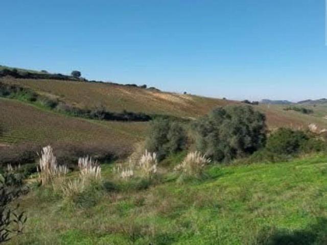 Terreno venda em Torres Vedras, Lisboa