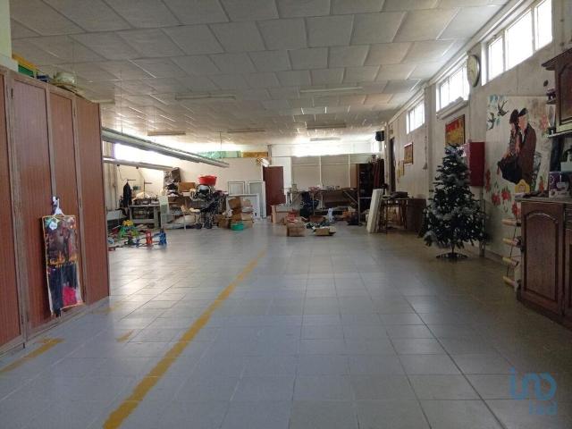 Terreno venda em Ucha, Arcozelo