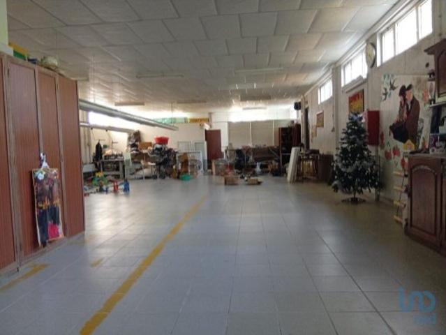 Terreno venda em Ucha, Arcozelo