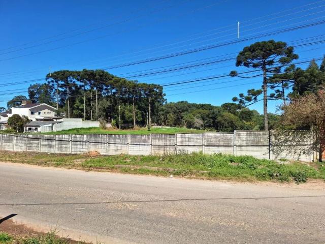 Terreno venda em Região Geográfica Imediata de Curitiba, Região Metropolitana de Curitiba
