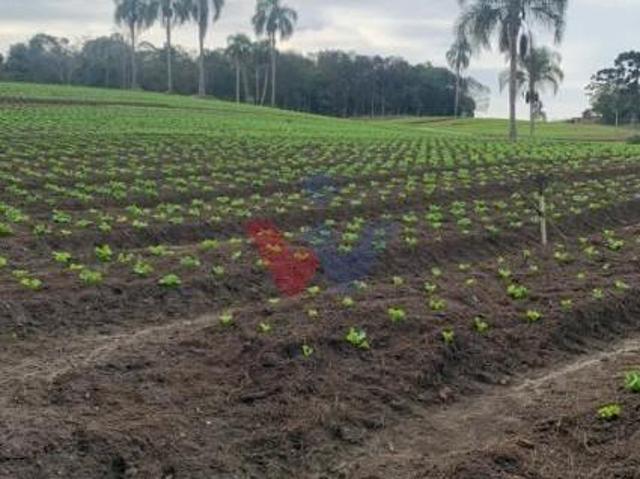 Terreno venda em Região Geográfica Imediata de Curitiba, Região Metropolitana de Curitiba