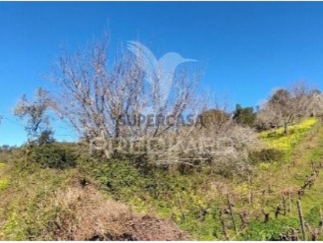 Terreno venda em Torres Vedras, Lisboa