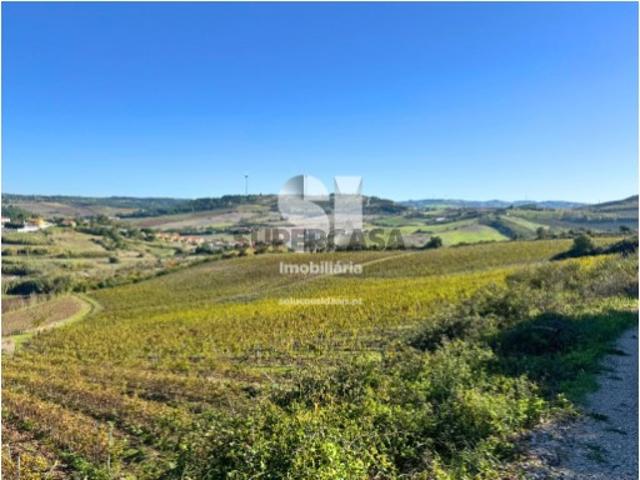 Terreno venda em Sarge, Torres Vedras
