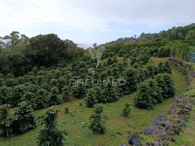 Terreno venda em Açores, Velas