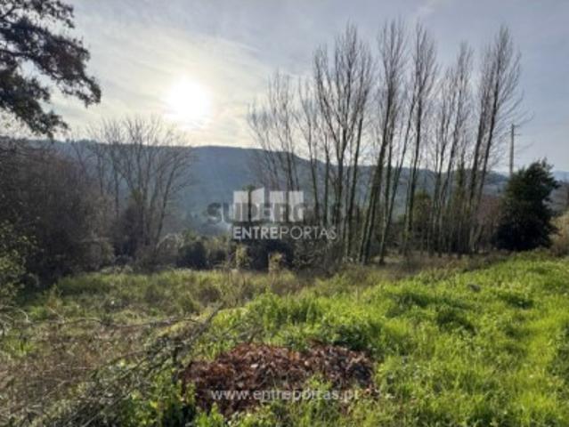 Terreno venda em Baião, Porto