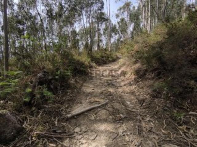Terreno venda em Vila Verde, Cela