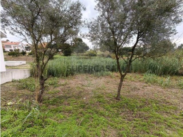 Terreno venda em Cartaxo, Santarém