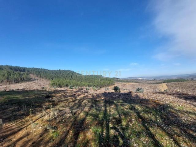 Terreno venda em Castelo Branco, Aldeia Nova Do Cabo