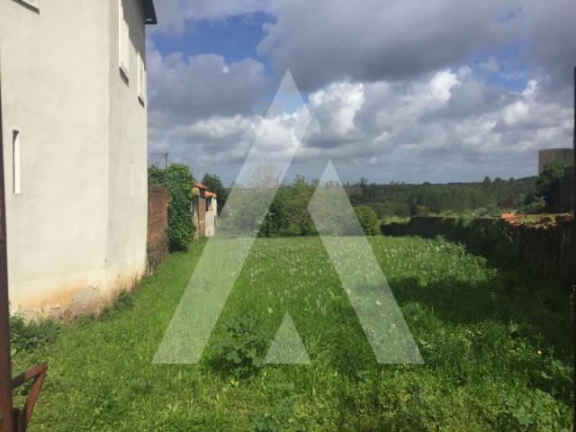 Terreno venda em Anadia, Aveiro