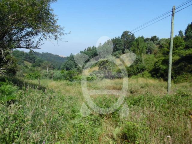 Terreno venda em Coimbrã, Coimbra