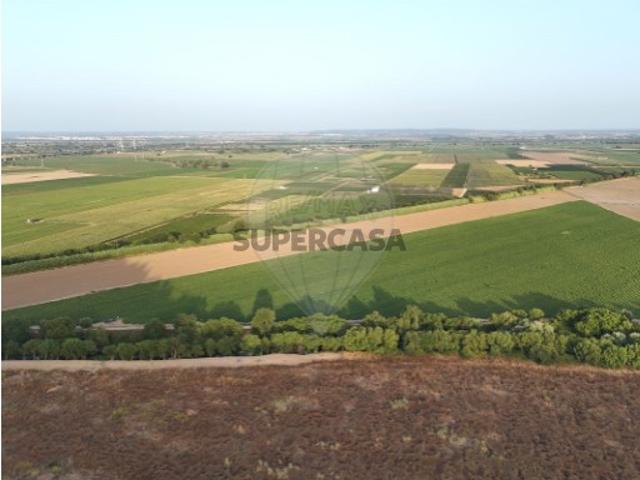 Terreno venda em Santarém