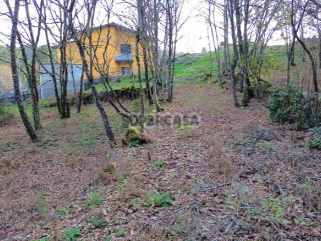 Terreno venda em Viseu
