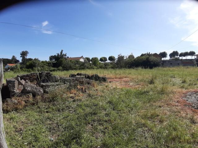 Terreno venda em Canas de Senhorim, Nelas