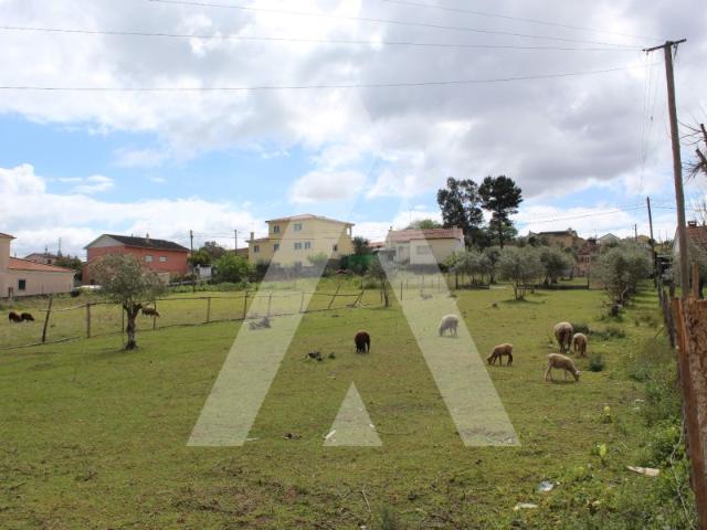 Terreno venda em Parceiros e Azoia, Leiria