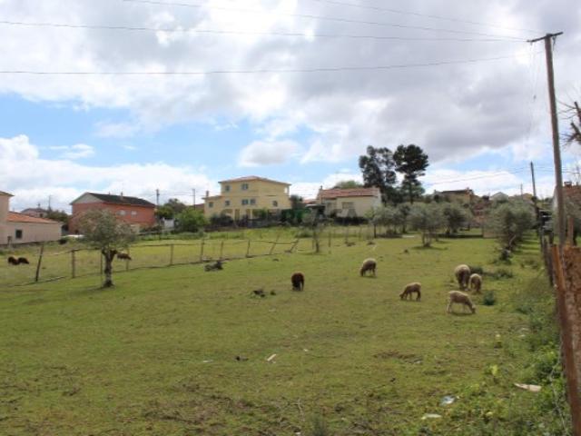 Terreno venda em Leiria