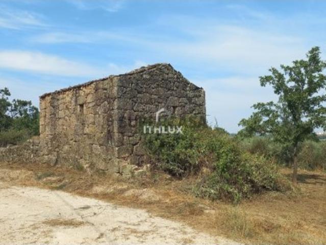 Terreno venda em Castelo Branco