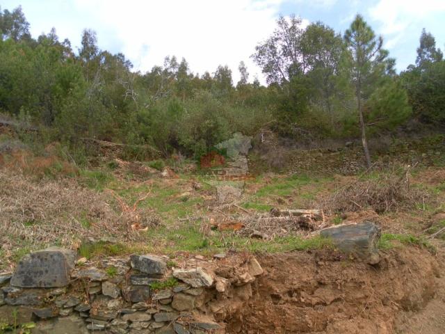 Terreno venda em Castelo Branco, Oleiros
