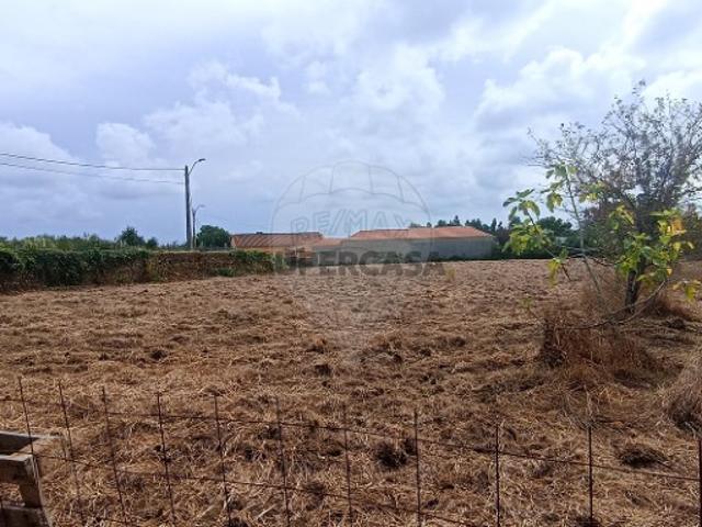 Terreno venda em Roçadas de Vilarinho, Ovar