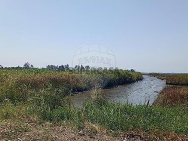 Terreno venda em Ovar, Aveiro