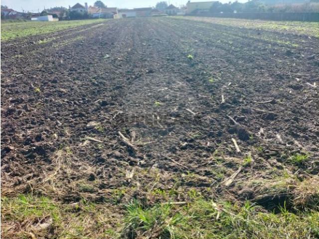 Terreno venda em Ovar, Aveiro