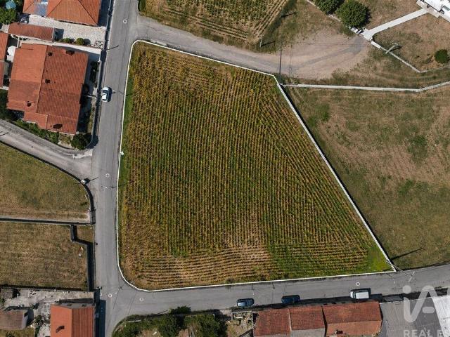 Terreno venda em Roçadas de Espinhos, Ovar