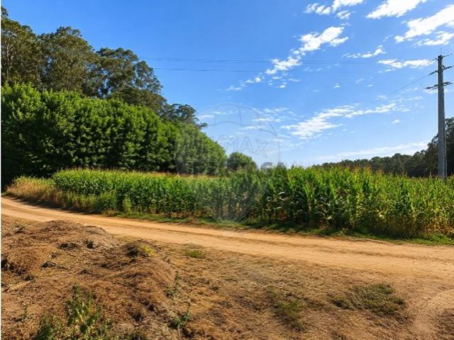 Terreno venda em Ovar, Aveiro