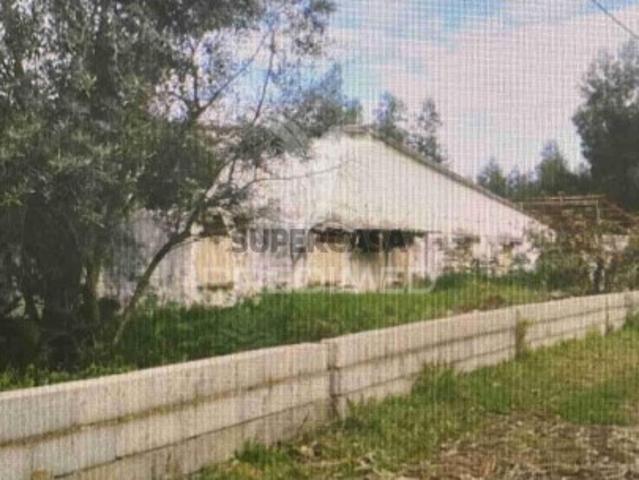 Terreno venda em Águeda, Aveiro