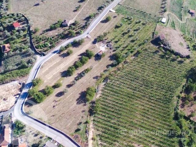 Terreno venda em Lamego, Viseu