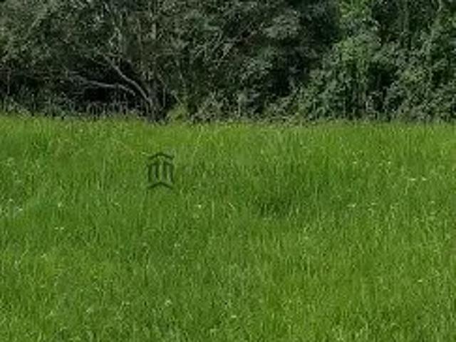 Terreno venda em Recife