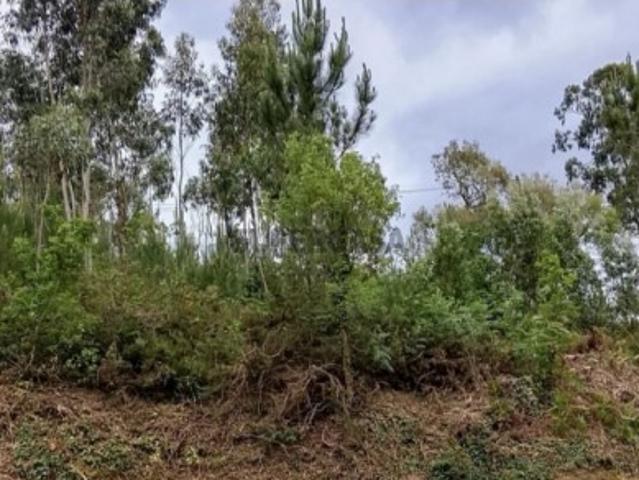 Terreno venda em Arga De Baixo, Viana Do Castelo