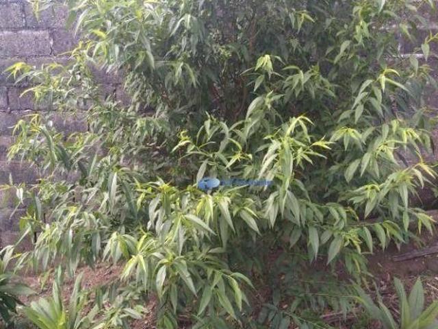 Terreno venda em Região Imediata de São José dos Campos, Região Metropolitana do Vale do Paraíba e Litoral Norte