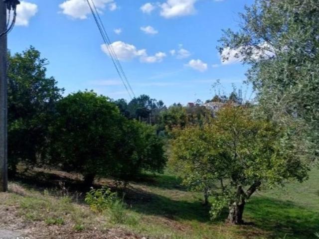 Terreno venda em Pombal, Leiria