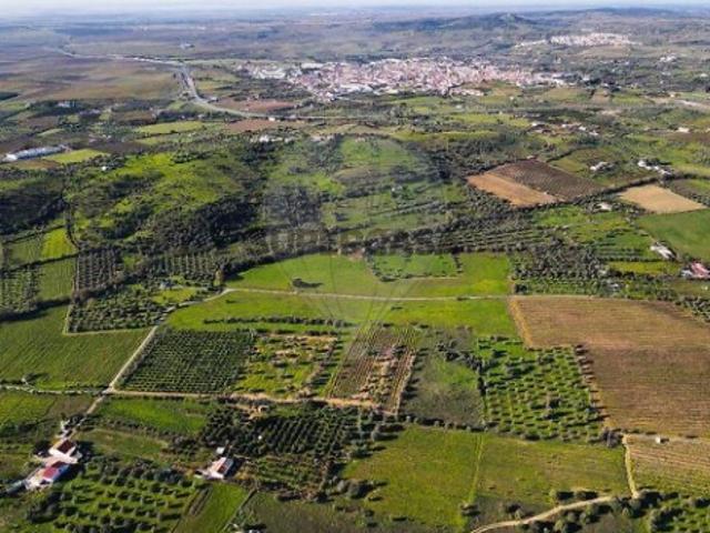 Terreno venda em Vidigueira, Beja