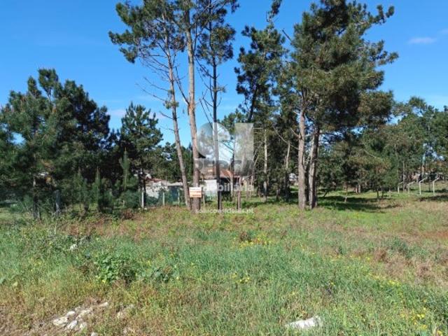 Terreno venda em Marinha Grande, Leiria
