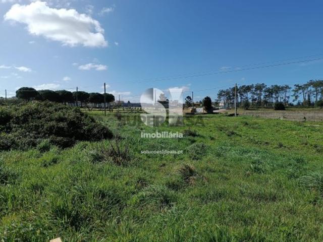 Terreno venda em Marinha Grande, Leiria