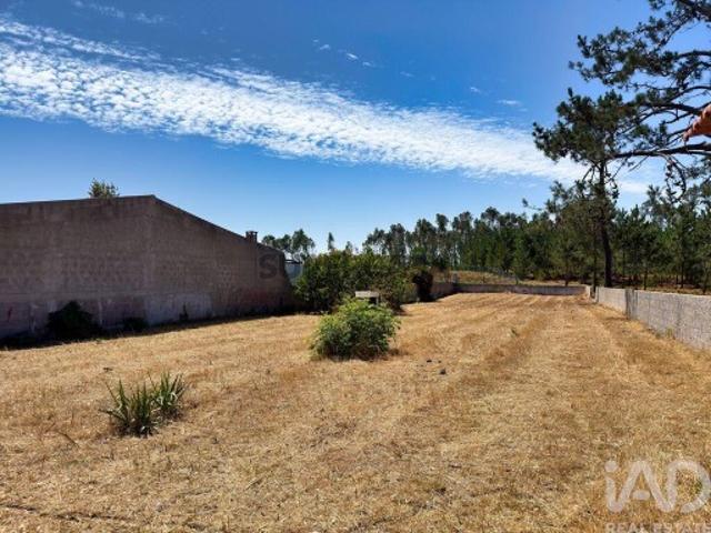 Terreno venda em Vieira de Leiria, Marinha Grande