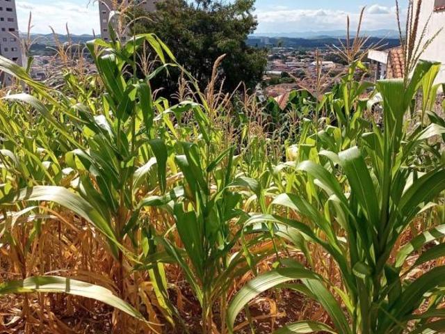Terreno venda em Região Imediata de São José dos Campos, Região Metropolitana do Vale do Paraíba e Litoral Norte