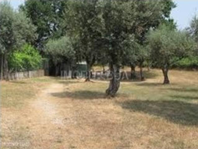 Terreno venda em Pombal, Vila Cã