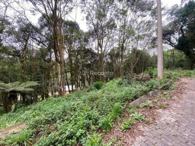Terreno venda em Região Geográfica Imediata de Caxias do Sul, Canela