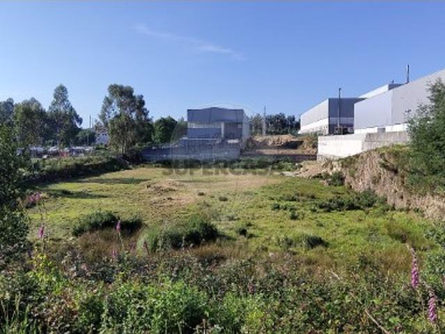 Terreno venda em Vale De Cambra, Aveiro