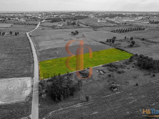 Terreno venda em Cartaxo, Santarém